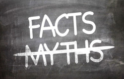 Facts Myths written on a chalkboard